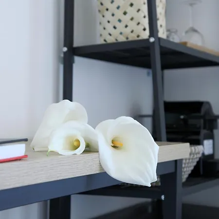 Aparthotel Almyra Seafront Lygia (Lefkada)